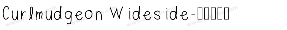 Curlmudgeon Wideside字体转换
